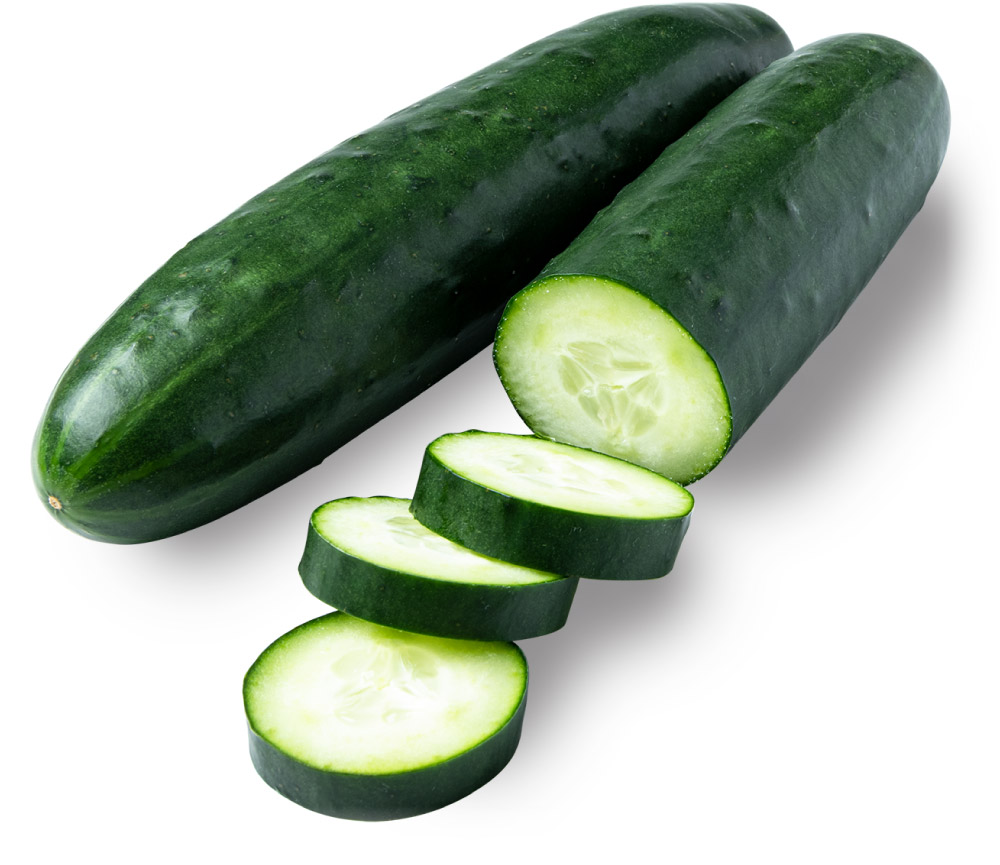 Slicer Cucumbers