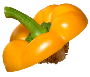 sliced pepper top