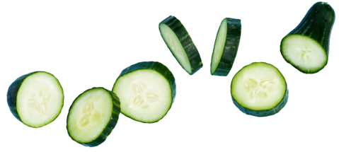 zucchini slices