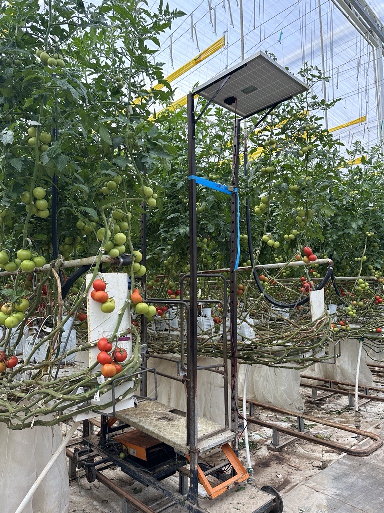 Trolley in a greenhouse