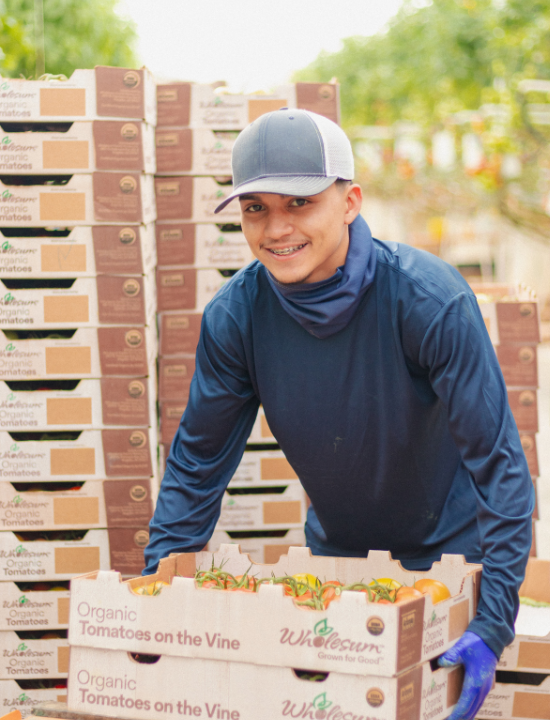 Greenhouse worker working