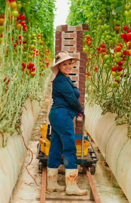 Greenhouse worker working