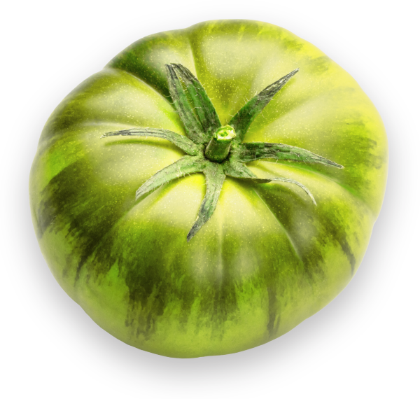 green heirloom