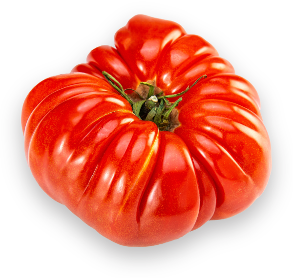 red heirloom tomato