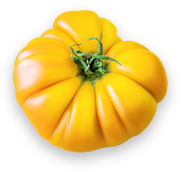 yellow heirloom tomato