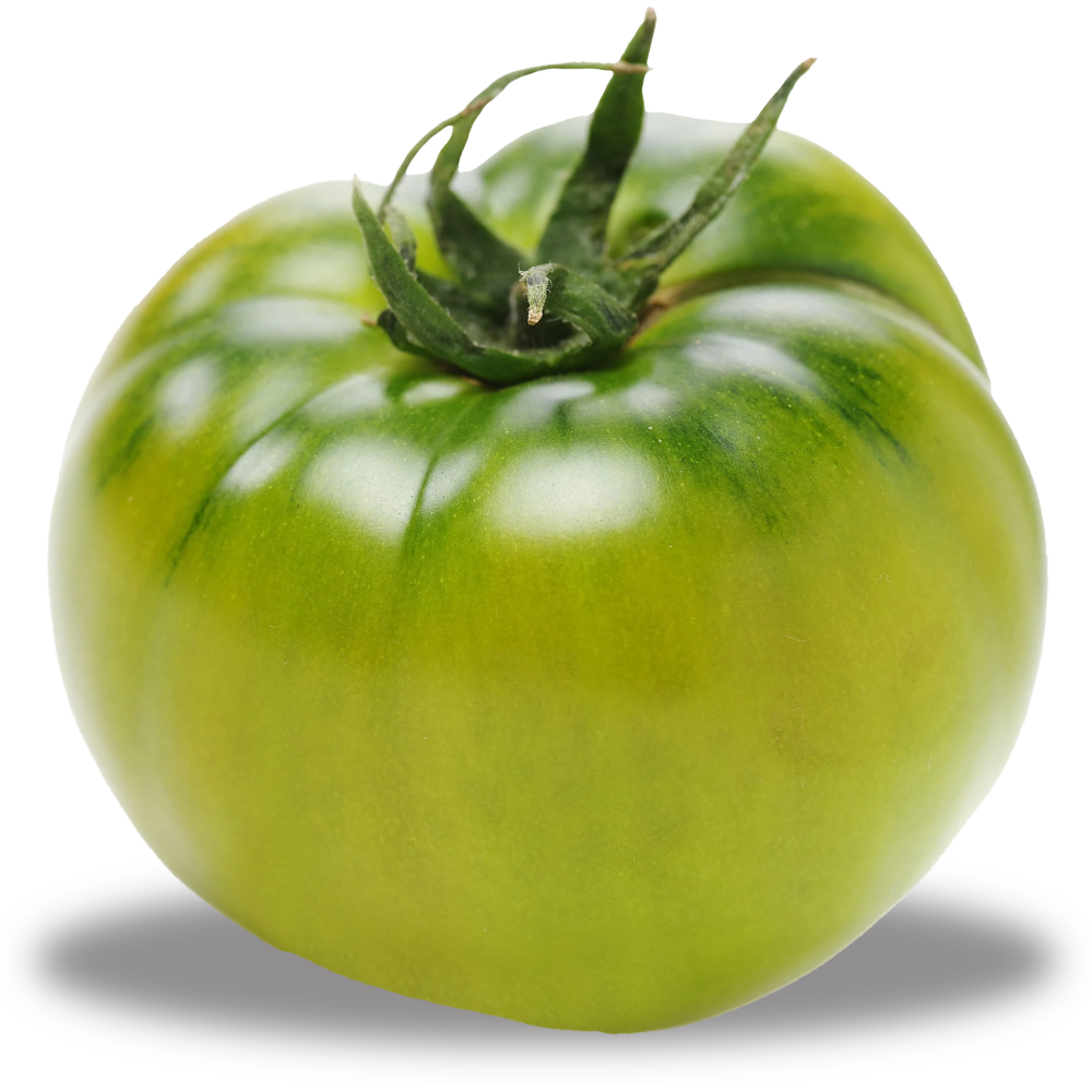 green heirloom tomato