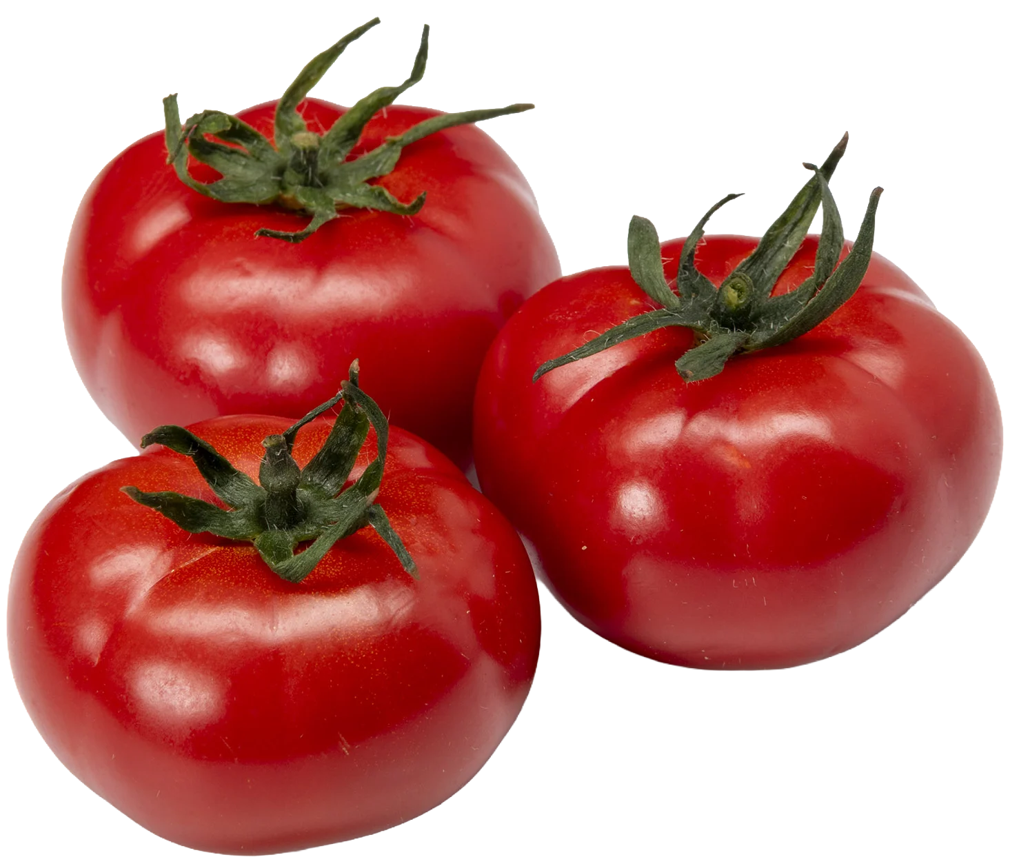 3 Reb'l Girl tomatoes isolated