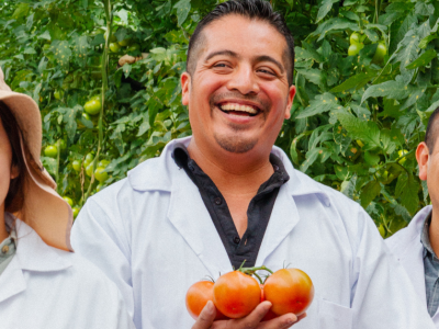 Greenhouse workers in tomato greenhouse smiling