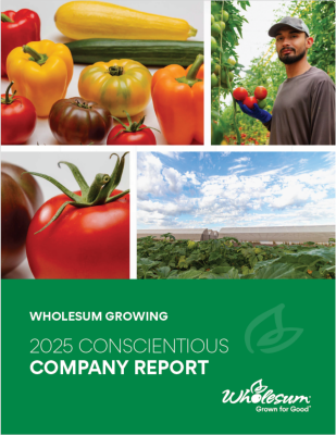 report cover page