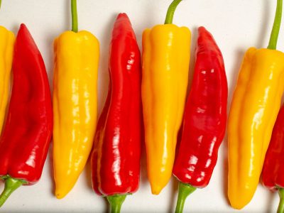 Red and yellow sweet Italian long peppers